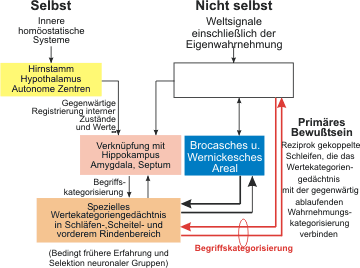 Ein Schema für das Bewusstsein höherer Ordnung gemäß Edelman (Bild 4)Bitte vergleichen Sie dieses Bild mit dem für das primäre Bewusstsein in Bild 3. Der Erwerb einer neuen Art von Gedächtnis über semantische Ureingaben führt zu einer Begriffsexplosion. So können Begriffe wie Selbst, Vergangenheit und Zukunft mit dem primären Bewusstsein in Verbindung gebracht werden. Das ermöglicht ein 