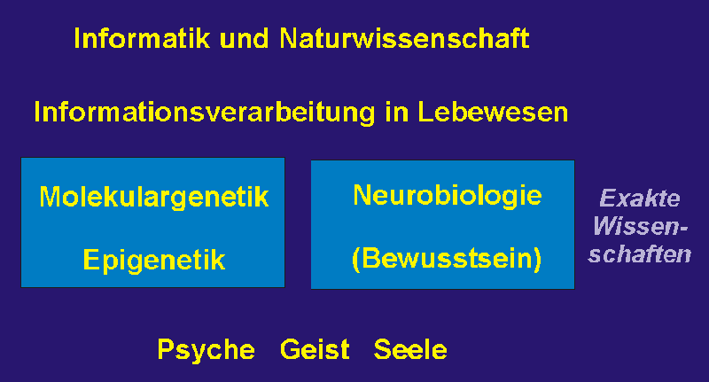 2011_Epigenetikeinordnung