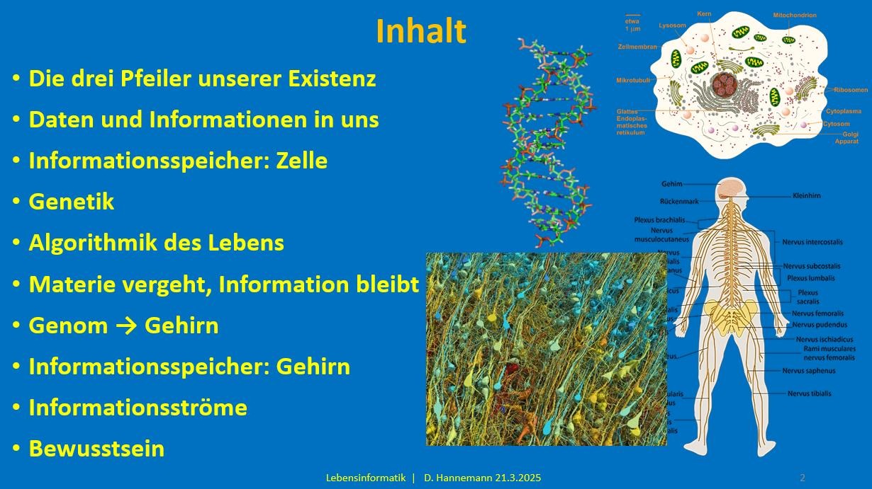 Lebensinformatik-Inhalt